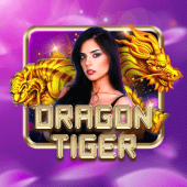 Dragon Tiger OK Games live casino